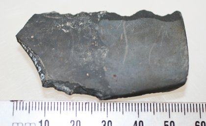 Adze fragment Adze fragment